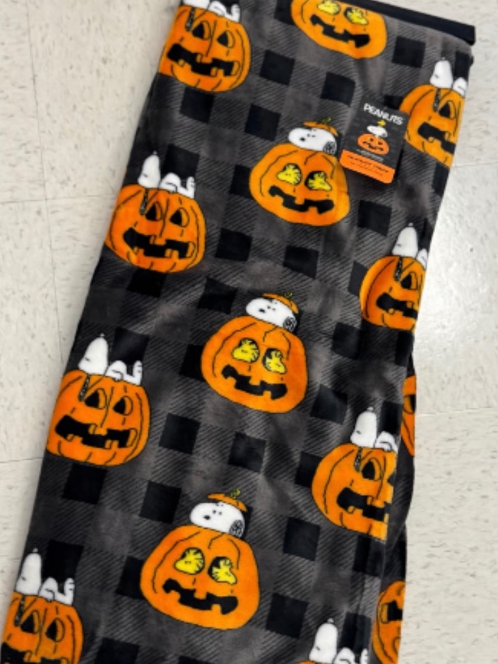 Brand new Halloween snoopy blanket